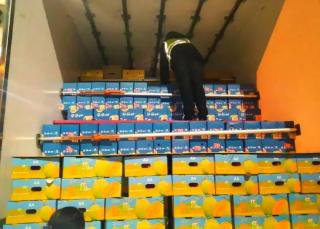 高速收費站嚴厲打擊假冒綠色通道車輛，保障政策落實